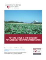 Potato virus Y and organic potatoes in Western Washington