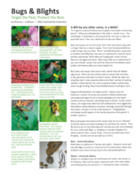 Bugs and Blights, August 2014