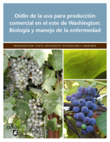 Oídio de la uva para producción comercial en el este de Washington : biología y manejo de la enfermedad