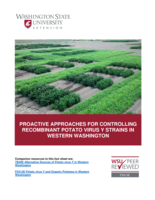 Proactive approaches for controlling recombinant Potato virus Y strains in Western Washington