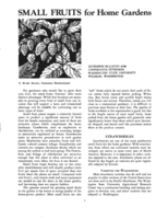 Small fruits for home gardens