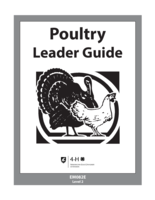 Poultry leader guide. Level 2