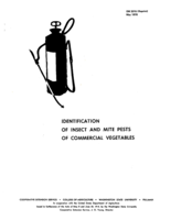 Identification of insect and mite pests of commercial vegetables