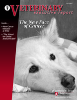 Veterinary Executive Report, Winter 2007