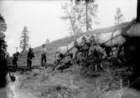 Avery Digital Collection TIFF files