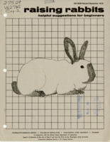 Raising rabbits: helpful suggestions for beginners