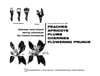 Disease and insect spray program for home gardens: Peaches, apricots, plums, cherries, flowering prunus