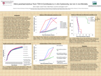 Vibrio parahaemolyticus toxin TDH-A contributes to in vitro cytotoxicity, but not in vivo mortality