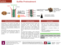 Sulfite Pretreatment