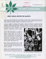 Plant diseases: Gray mold (Botrytis blight)
