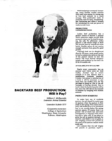 Backyard beef production : will it pay?
