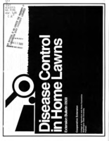 Disease management in home lawns