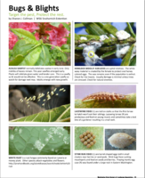 Bugs and Blights, June 2014