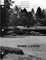 Home lawns