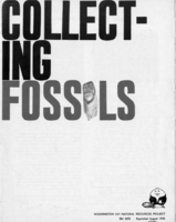 Collecting Fossils