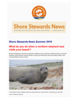 Shore Stewards News, Summer 2019
