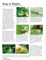 Bugs and Blights, July 2013