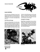Insect answers: Slug control