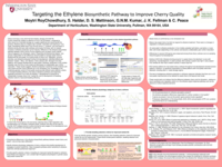 Targeting the ethylene biosynthetic pathway to improve cherry quality