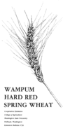 Wampum hard red spring wheat