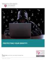 Protecting your identity