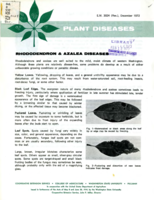 Plant diseases: Rhododendron and azalea diseases