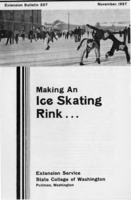 Making an ice skating rink...
