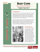 Baby Corn - Farming West of the Cascades Series