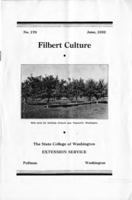 Filbert culture