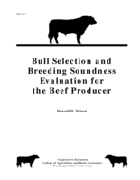 Bull Selection and Breeding Soundness Evaluation for the Beef Producer
