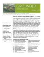 Grounded Newsletter, June 2013