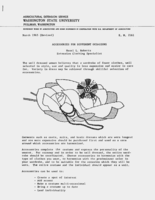 Accessories for different occasions