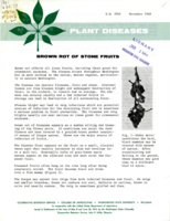 Plant diseases: Brown rot of stone fruits