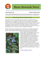 Shore Stewards News, Jefferson and Clallam Counties, WA, January/February 2013