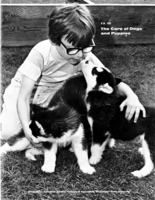 The care of dogs and puppies