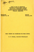 Holly insects and suggestions for their control