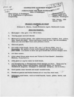 Peasant painting on wood