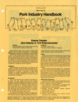 Edema disease (gut edema; E. coli enterotoxemia)