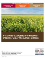 Integrated management of mustard species in wheat production systems