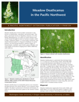 Meadow deathcamas in the Pacific Northwest.