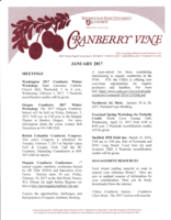 Cranberry Vine, January 2017