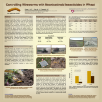 Controlling wireworms with neonicotinoid insecticides in wheat