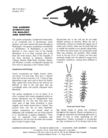 Insect answers: The garden symphylan: Its biology and control