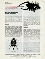 Biology and control of the pea weevil