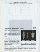 Postharvest dormancy of wheat