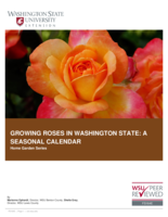 Growing roses in Washington state: A seasonal calendar