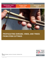 Propagating shrubs, vines, and trees from stem cuttings