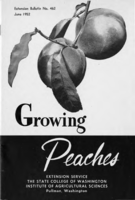 Growing peaches