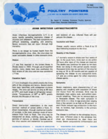 Avian infectious laryngotracheitis