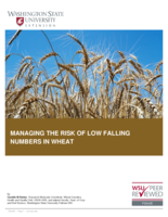 Managing the risk of low falling numbers in wheat